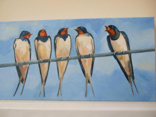 Swallows