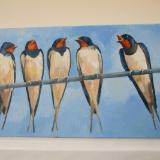 Swallows