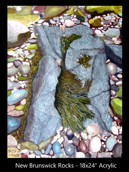 Bay of Fundy Rocks