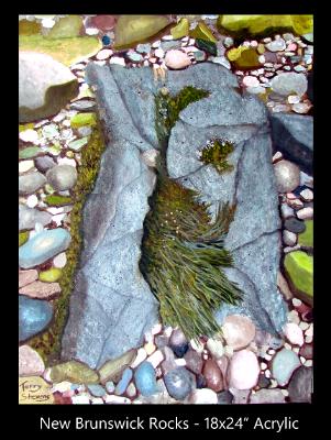 Bay of Fundy Rocks
