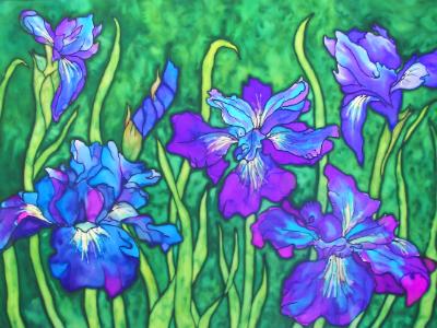 Iris in Blues Iris in Blues