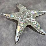 #02252610 Starfish Glows in the dark 6.75'' W Iridised  $100.00