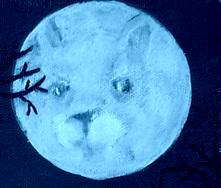 The Moon The Moon