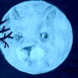 The Moon