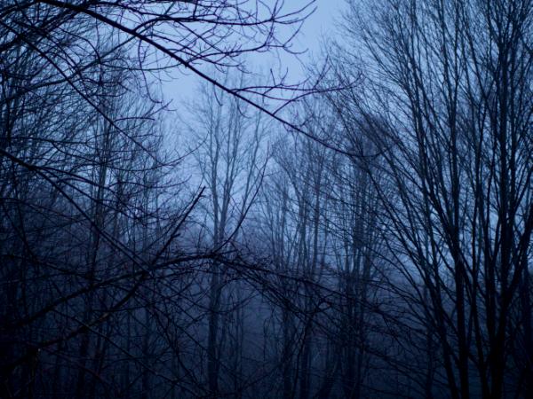 saturnine scribbles (canon r50 thypoch 28mm f/1.4)