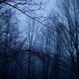 saturnine scribbles (canon r50 thypoch 28mm f/1.4)