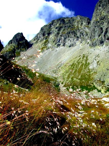 Landscapes: Tatra Mountains - Up