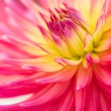 River Gallery:  Paintings, Sculptures, Jewelry and Glass