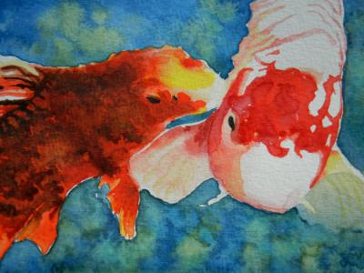 Koi study Koi study