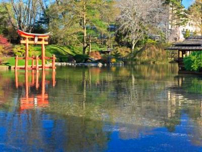 Japanese Pond-and-Hill Garden Panorama  (Click for full width)