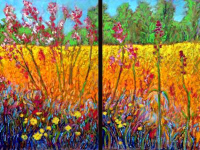Diptych: Arizona Highlands Diptych: Arizona Highlands