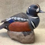Harlequin drake