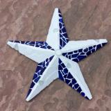 Blue&White Star