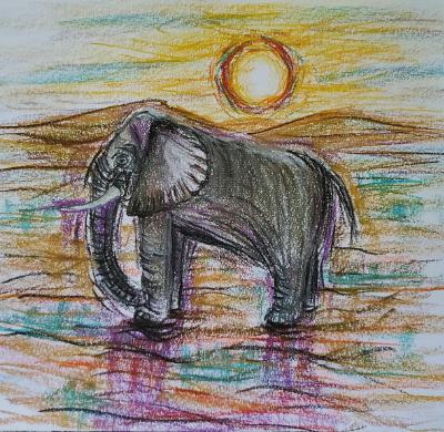 Gray Elephant 