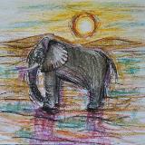 Gray Elephant 