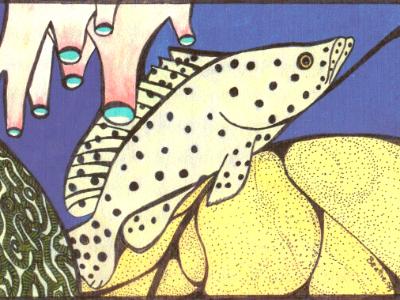 Panther Grouper Panther Grouper