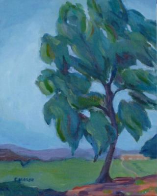 Tree Portrait, Morley Field