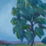 Tree Portrait, Morley Field