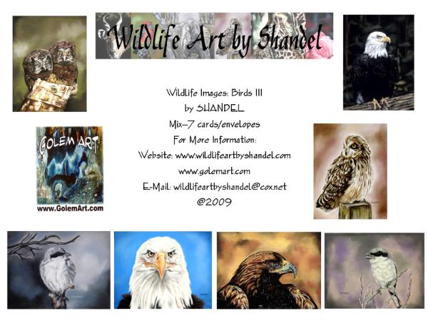 Note Cards: Birds III--Predators
