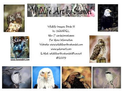 Note Cards: Birds III--Predators
