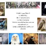 Note Cards: Birds III--Predators