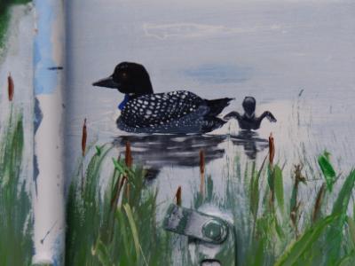 close up of loon and duckling