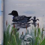 close up of loon and duckling