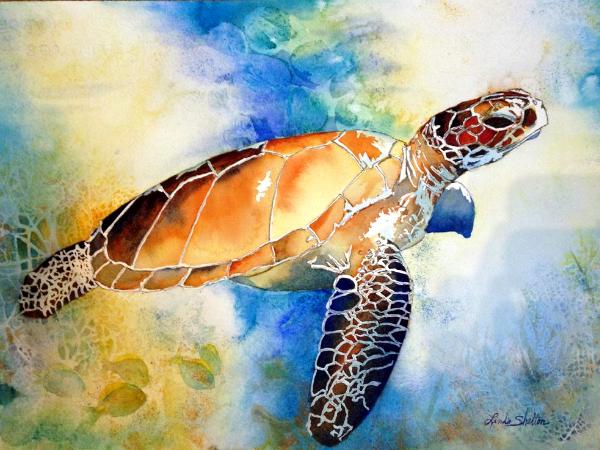 SEA TURTLE