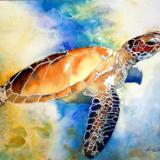 SEA TURTLE