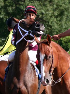 Racehorse Blues Racehorse Blues