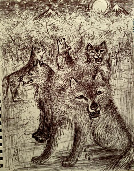 Night of the Pack