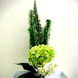 Japanese Ikebana-II Japanese Ikebana-II