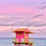 Pink Sunset Stand
