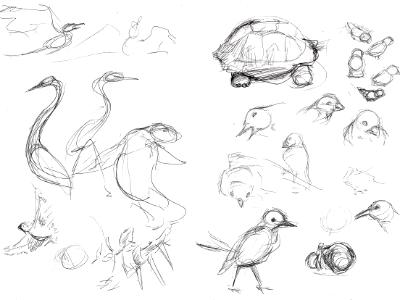 Galapagos sketches 3