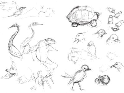 Galapagos sketches 3 Galapagos sketches 3