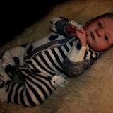 Reborn Baby Girl ~ Stephanie ~ ADOPTED/SOLD