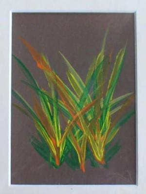mini 5x7 matted mini 5x7 matted