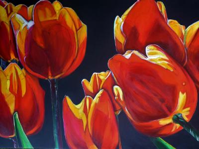 Tulips Tulips