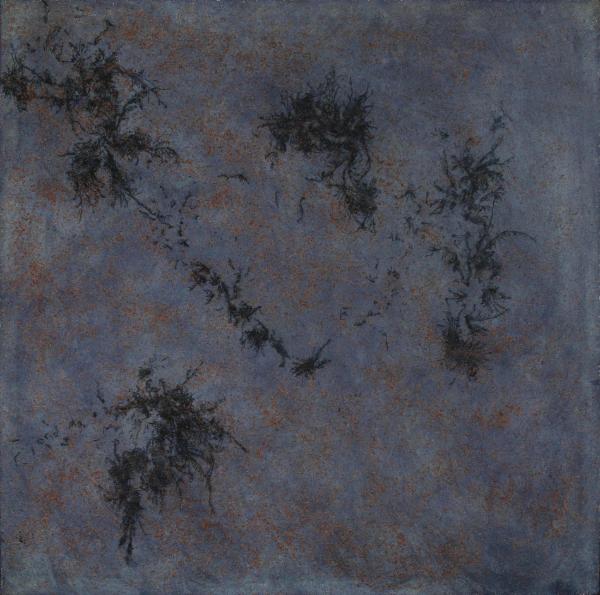 Zephyr Series No. 29