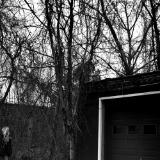 gloversville gretel (canon r50 thypoch 28mm f/1.4)