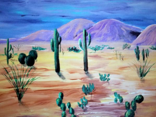 Sonoran Desert View