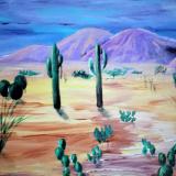Sonoran Desert View