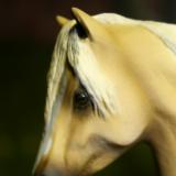 Breyer Classic - Re-Paint  SOLD