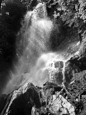 Beaver Meadow Falls Blackand White Beaver Meadow Falls Blackand White