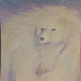 Portrait of a Polar Bear
