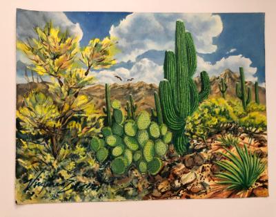 Prickly Pear, Saguaros, Palo Verde and Mountains