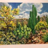 Prickly Pear, Saguaros, Palo Verde and Mountains