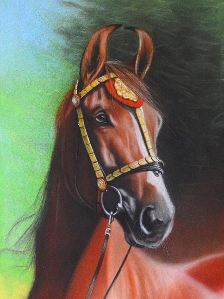 The beauty of the Marwari horse, 38cm x 56cm, 2021