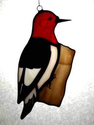 Red Headed Woodpecker Red Headed Woodpecker