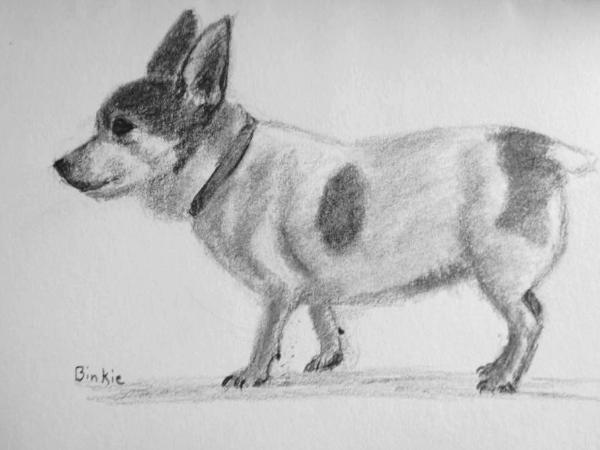 Binkie 5x7 paper in graphites 